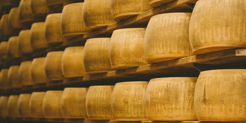 Bochníky Parmigiano Reggiano zrající ve sklepě s charakteristickým reliéfem DOP